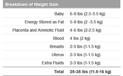 Breakdown of Weight Gain Breakdown of Weight Gain
