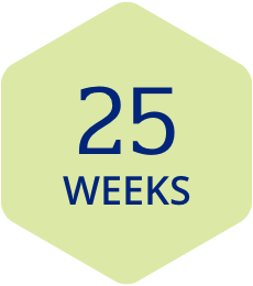 25 weeks baby size comparison｜TikTok Search
