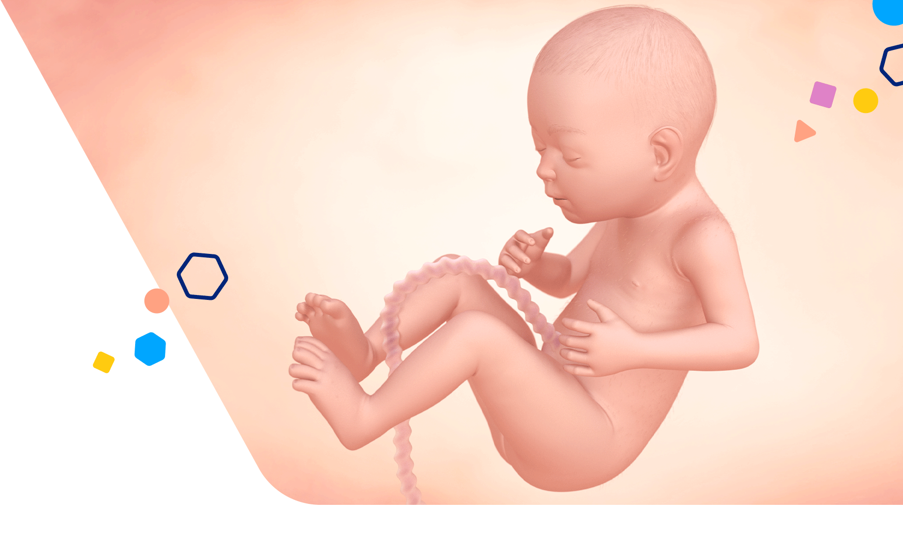 Your Guide To Being 26 Weeks Pregnant Enfamil