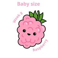 Baby size at 8 weeks raspberry