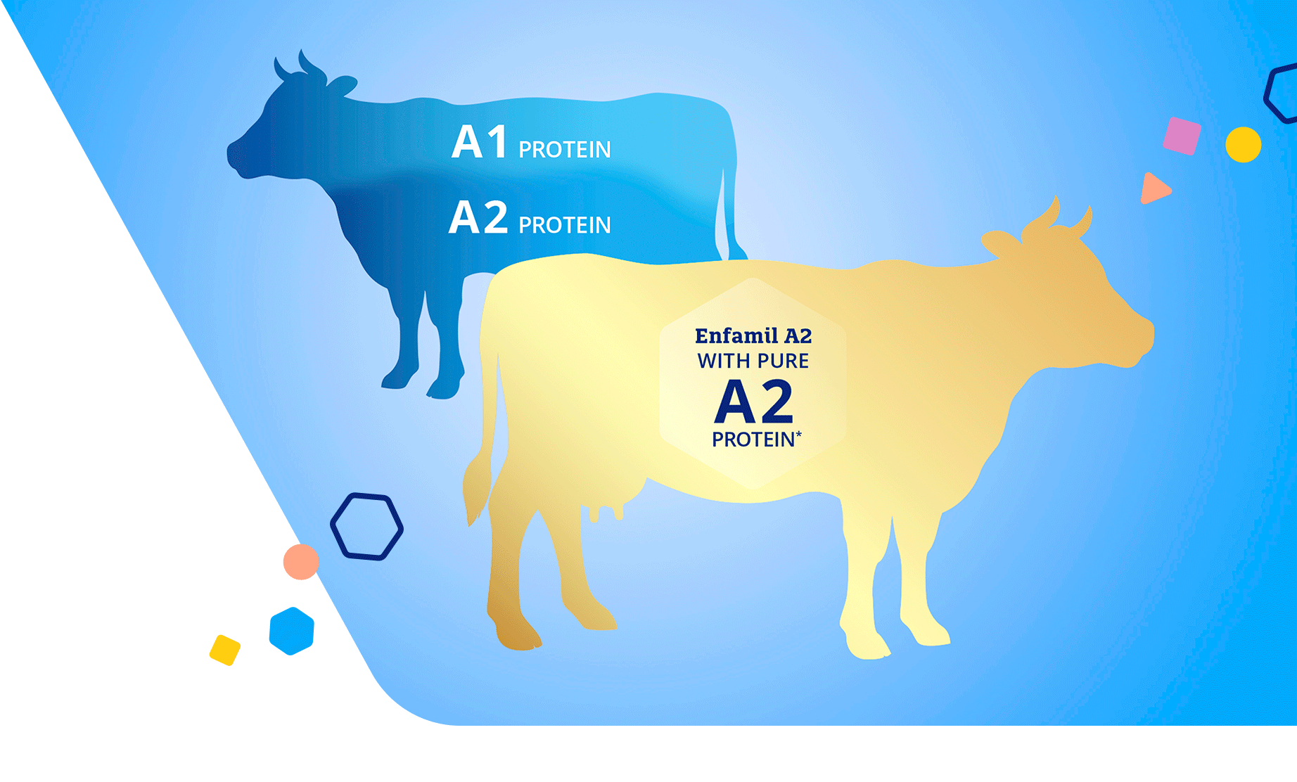 what-is-a2-milk-how-is-it-used-in-formula-enfamil-us