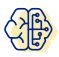 Brain