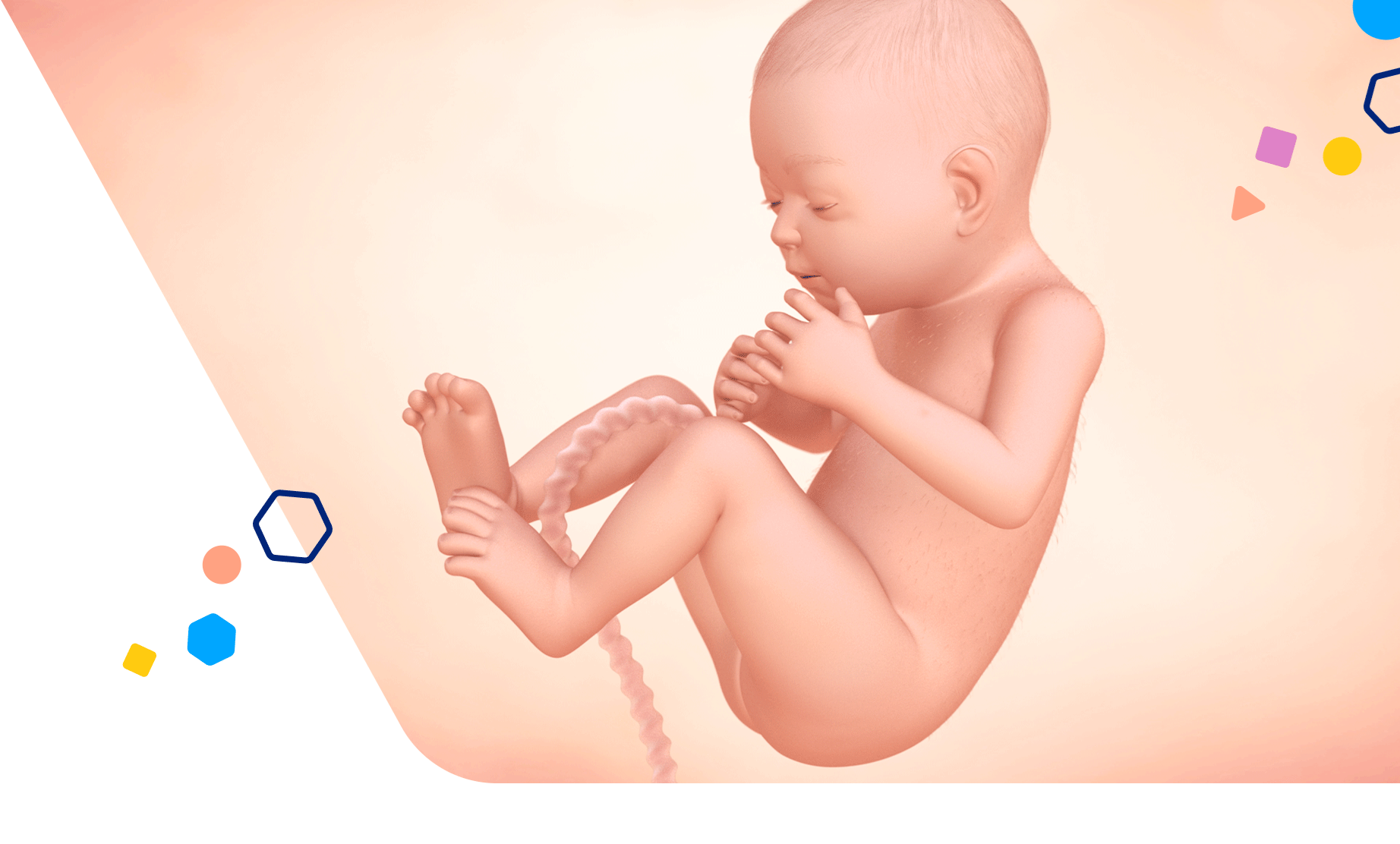 30-weeks-pregnant-baby-size-symptoms-tips-enfamil