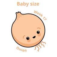 Baby size at 17 weeks onion