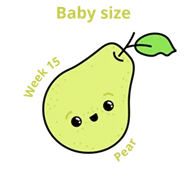 Baby size at 15 weeks pear