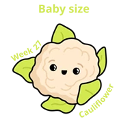 Baby size at 27 weeks cauliflower